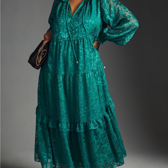 The Marais Maxi Dress: Satin-Burnout Edition Medium Petite - Picture 4 of 10